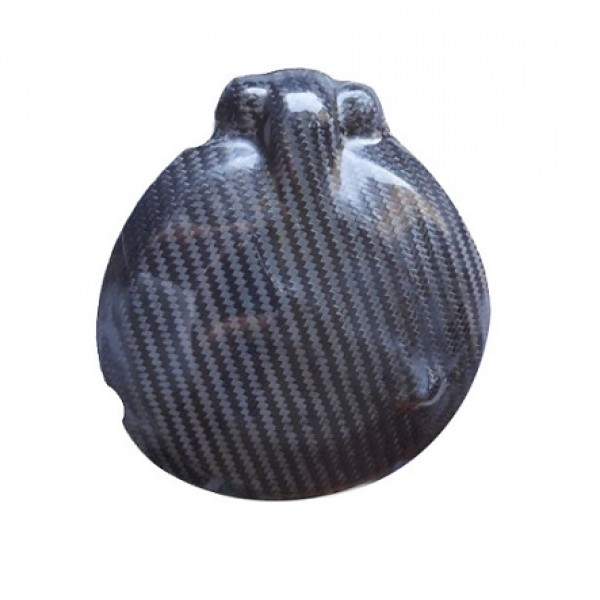 Protezione Coperchio Volano CARBONIO BETA EVO